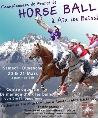 Horse ball Affiche